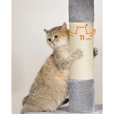 Feandrea Arbre à Chat, Tour de Jeux 101 cm