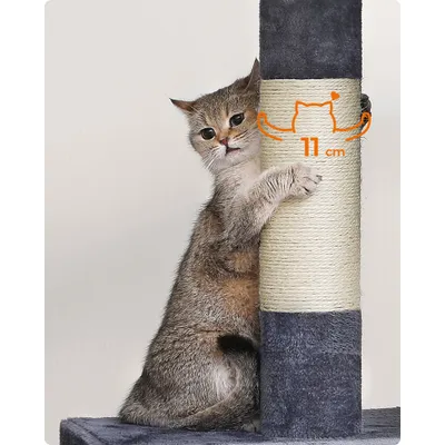 Feandrea Arbre à Chat, Tour de Jeux 101 cm