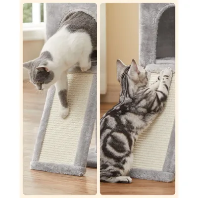 Arbre à Chat, Hauteur 118 cm, Tour de Jeux, Chaton, Plusieurs Niveaux