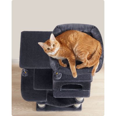 Feandrea Arbre à Chat Hauteur 112 cm, 4 Poteaux à Griffer, 2 Plateformes