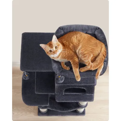 Feandrea Arbre à Chat Hauteur 112 cm, 4 Poteaux à Griffer, 2 Plateformes