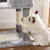 Feandrea Arbre à Chat Hauteur 138 cm, Tour de Jeux pour Chats