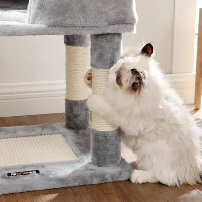 Feandrea Arbre à Chat Hauteur 138 cm, Tour de Jeux pour Chats