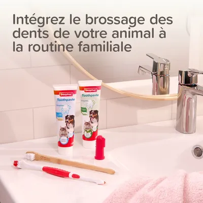 BEAPHAR - Pack dentition