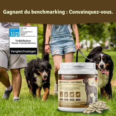 Comprimés Veddelholzer pour les articulations des chiens avec moule verte