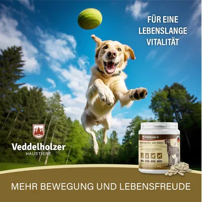 Comprimés Veddelholzer pour les articulations des chiens avec moule verte