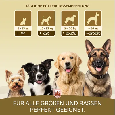 Comprimés Veddelholzer pour les articulations des chiens avec moule verte