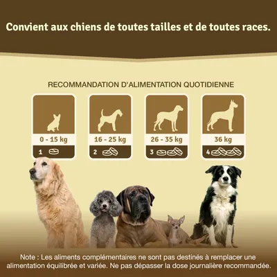 Comprimés Veddelholzer pour les articulations des chiens avec moule verte