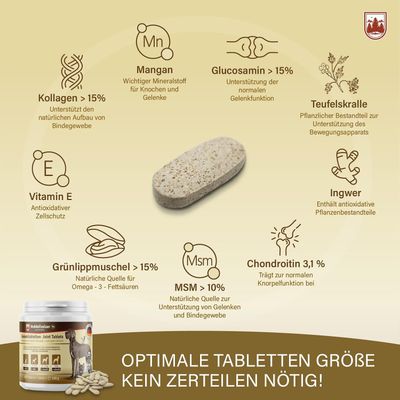 Veddelholzer Hunde Gelenktabletten mit Grünlippmuschel