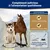Veddelholzer Huile de Saumon pour Chiens 1 Litre Veddelholzer Huile de Saumon pour Chiens 1 Litre