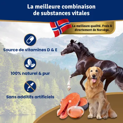 Veddelholzer Huile de Saumon pour Chiens 1 Litre Veddelholzer Huile de Saumon pour Chiens 1 Litre