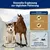 Veddelholzer Huile de Saumon pour Chiens 1 Litre Veddelholzer Huile de Saumon pour Chiens 1 Litre