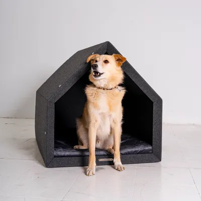 Pethome niche pour chien gris foncé avec graphite Pethome niche pour chien gris foncé avec graphite