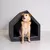 Pethome niche pour chien gris foncé avec graphite Pethome niche pour chien gris foncé avec graphite