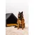 Pethome niche pour chien gris foncé avec jaune Pethome niche pour chien gris foncé avec jaune