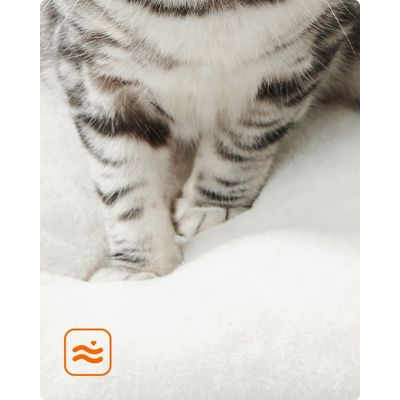 Feandrea Arbre à Chat, Tour de Jeux de 138 cm, Niche, Meuble pour Chat