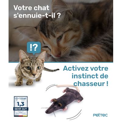 PetTec Peluche interactive Rat