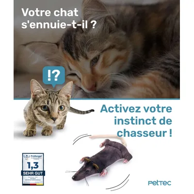 PetTec Peluche interactive Rat