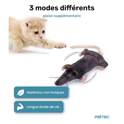 PetTec Peluche interactive Rat