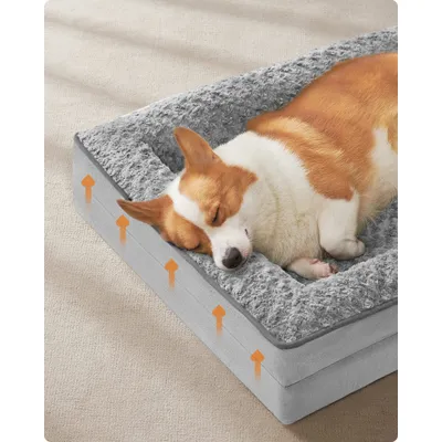 Feandrea Panier pour Petits Chiens, Lit pour Animal, Orthopédique Feandrea Panier pour Petits Chiens, Lit pour Animal, Orthopédique