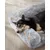 Feandrea FluffyHug Canapé pour Chiens Moyens, Housse Amovible Lavable Feandrea FluffyHug Canapé pour Chiens Moyens, Housse Amovible Lavable