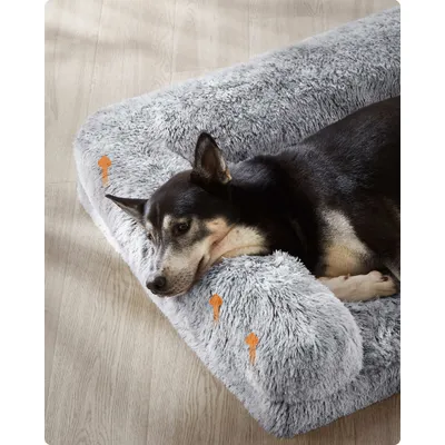 Feandrea FluffyHug Canapé pour Chiens Moyens, Housse Amovible Lavable Feandrea FluffyHug Canapé pour Chiens Moyens, Housse Amovible Lavable
