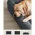 Feandrea Panier, Canapé, Lit pour Chiens plus de 80 kg