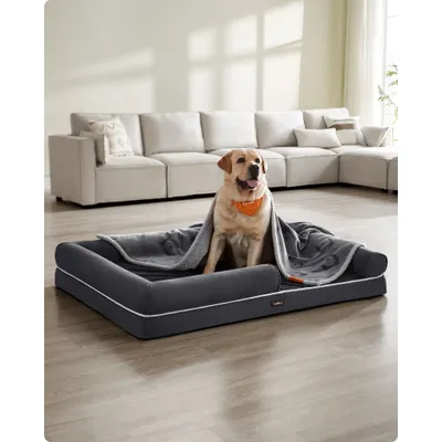 Feandrea Panier, Canapé, Lit pour Chiens plus de 80 kg