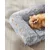 Feandrea FluffyHug Canapé pour Chiens Miniatures, Housse Amovible Lavable Feandrea FluffyHug Canapé pour Chiens Miniatures, Housse Amovible Lavable