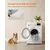 Feandrea FluffyHug Canapé pour Grands Chiens, Housse Amovible Lavable Feandrea FluffyHug Canapé pour Grands Chiens, Housse Amovible Lavable
