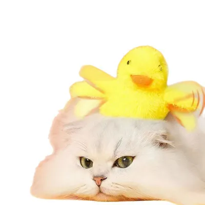 CoolPetGear Juguete eléctrico interactivo para gatos (pato)