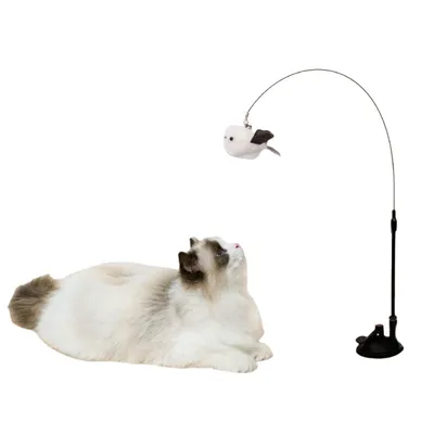 Jouets de simulation d'âge pour chats et oiseaux CoolPetGear Jouets de simulation d'âge pour chats et oiseaux CoolPetGear