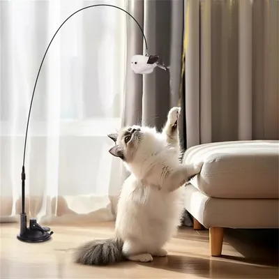 Jouets de simulation d'âge pour chats et oiseaux CoolPetGear