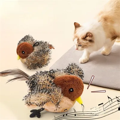CoolPetGear Jouet interactif pour chat moineau