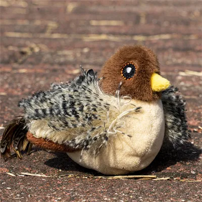 CoolPetGear Jouet interactif pour chat moineau