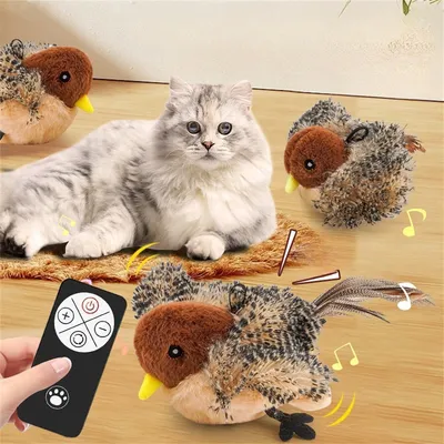 CoolPetGear Jouet interactif pour chat moineau