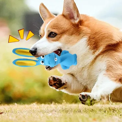 Jouets couineurs pour chien CoolPetGear