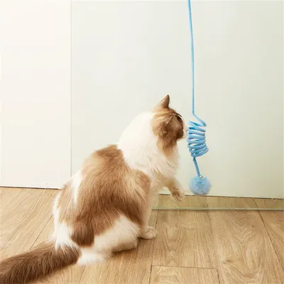 CoolPetGear Lot de 3 balles rebondissantes pour chat