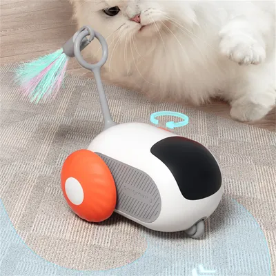CoolPetGear Voiture électrique jouet pour chat