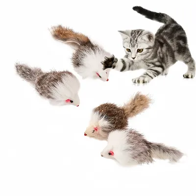 CoolPetGear Lot de 4 jouets Tom et Jerry