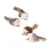 CoolPetGear Lot de 4 jouets Tom et Jerry