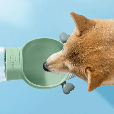 CoolPetGear Bouteille d'eau pour chien et chat Portative
