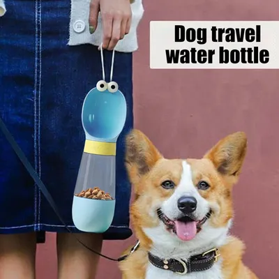Bouteille d'eau et distributeur pour chien et chat