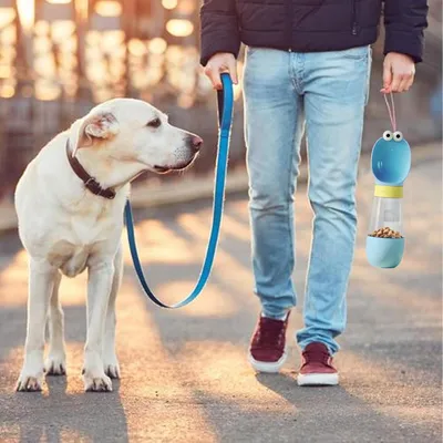 Bouteille d'eau et distributeur pour chien et chat