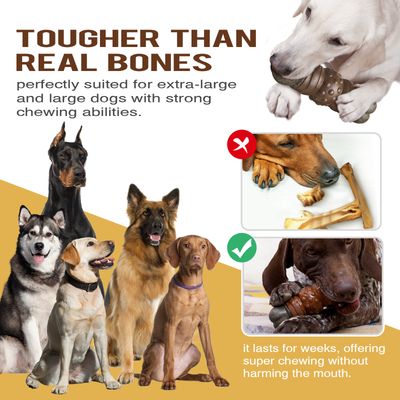 Jouets à mâcher pour chien Indestructibles, résistants