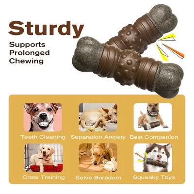 Jouets à mâcher pour chien Indestructibles, résistants