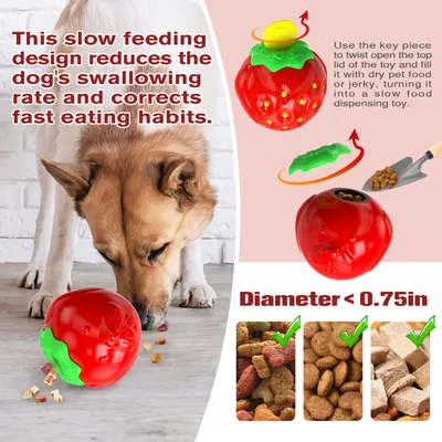 Jouets pour chien - Distributeur de traitements, puzzle, interactifs
