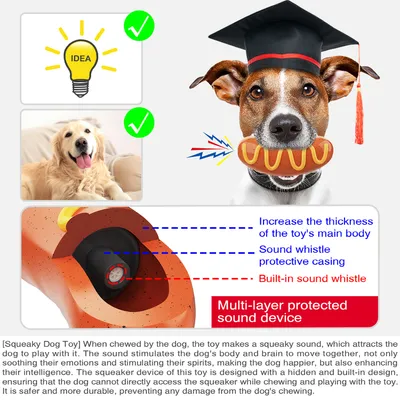 Jouet à mâcher pour chiots - En caoutchouc naturel, interactif