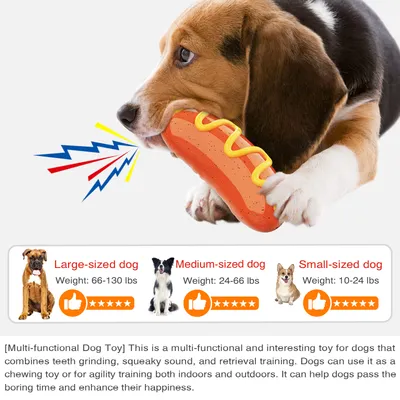 Jouet à mâcher pour chiots - En caoutchouc naturel, interactif