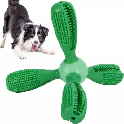 CoolPetGear Jouets pour le soin des dents des chiens